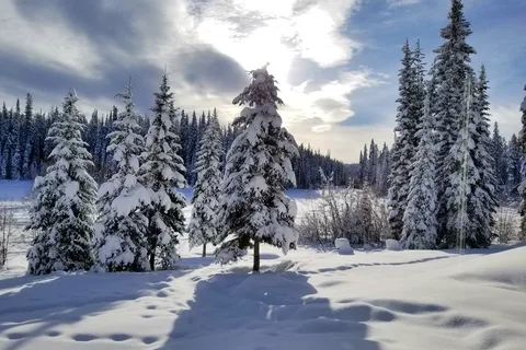 Dee Lake Wilderness Resort