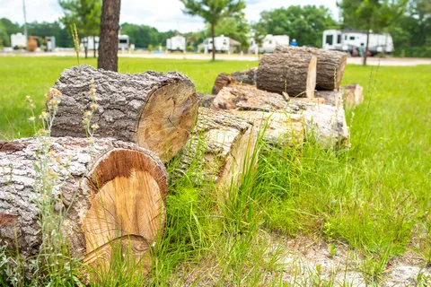 GA Coastal RV Park