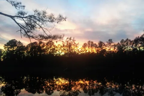 GA Coastal RV Park