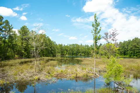 GA Coastal RV Park