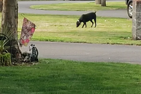 Hee Hee Illahee RV Resort