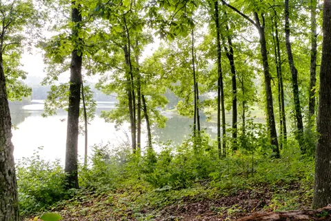 Natchez Trace RV Campground