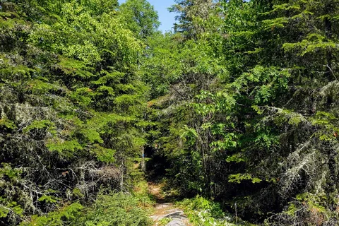 Whitesand Lake Campground - Rainbow Falls Provincial Park