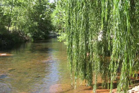 Oak Creek Mobilodge