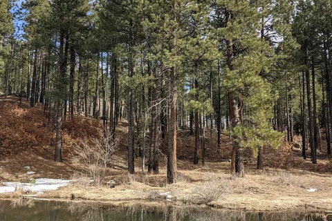 Fenton Lake State Park