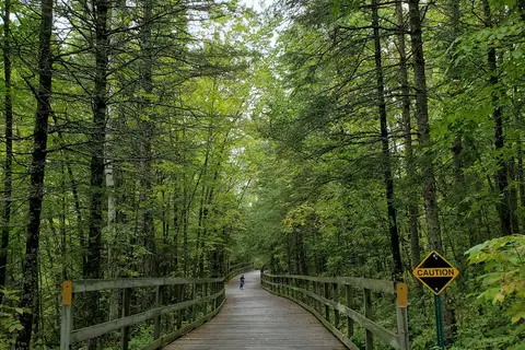 Bear Paw - Itasca State Park