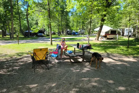 Bear Paw - Itasca State Park