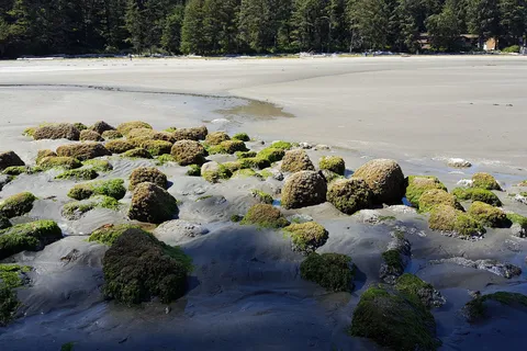 Long Beach Golf Course and Camp Ground