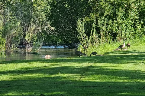 Black Rabbit RV Park