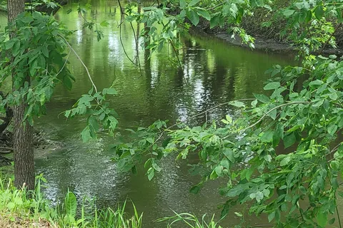 Riverview Campground
