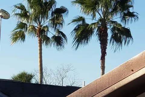 The Resort/Florida SKP Co-Op