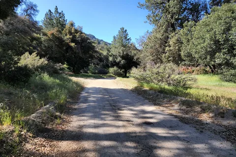 Los Coyotes Camp Cahuilla Reservation
