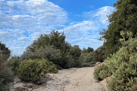 Los Coyotes Camp Cahuilla Reservation
