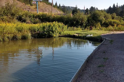 Fish N Fry Recreation