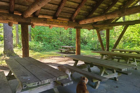 Rock Creek Horse Camp - Department of Natural Resources