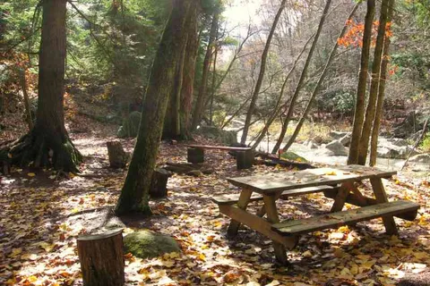Abrams Creek Lodge and Campground