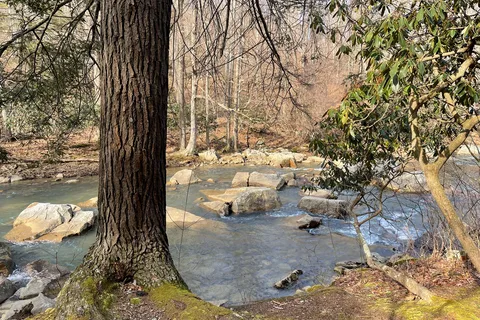 Abrams Creek Lodge and Campground