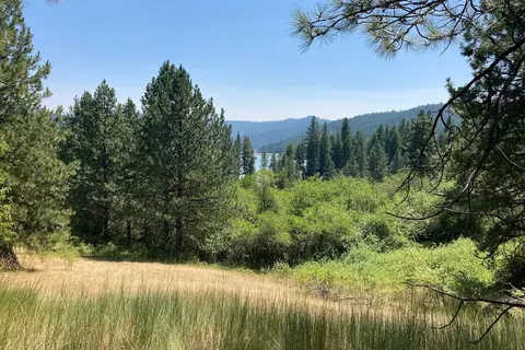 Dworshak State Park