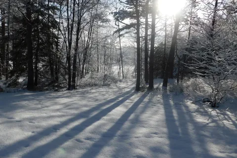 Laurie Provincial Park