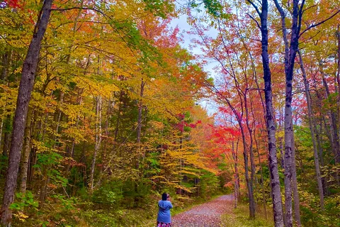 Laurie Provincial Park