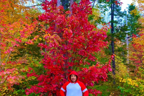 Laurie Provincial Park