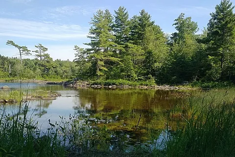 Laurie Provincial Park