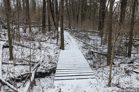 Westwood Park