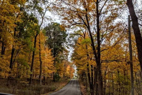 Westwood Park
