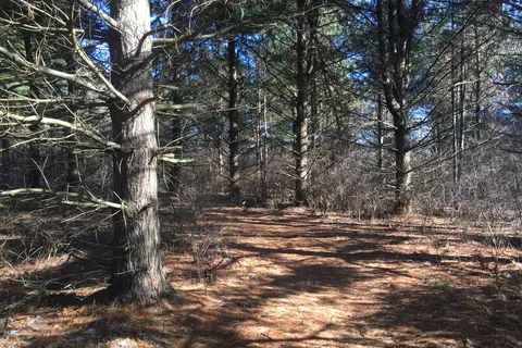 Westwood Park