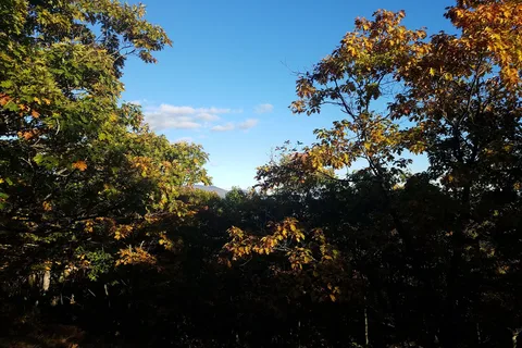 Meredith Woods Four Season Camping
