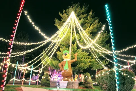 Yogi Bear’s Jellystone Park™ Camp-Resort: Caledonia