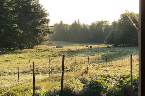Dyer Bay Farm