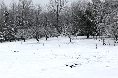 Dyer Bay Farm