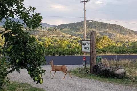 Sage View Ranch