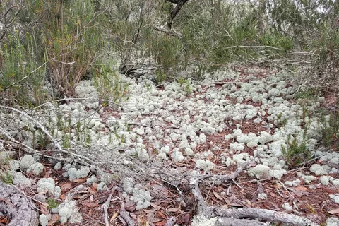 St Andrews State Park