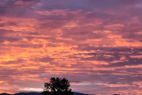 Arrowhead RV Park, Cascade, Id