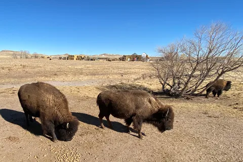 Terry Bison Ranch RV Park