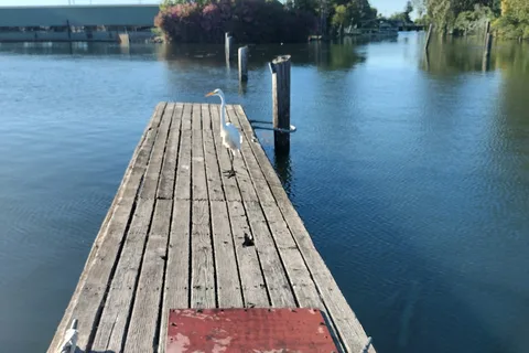 Lighthouse Marina Restaurant and Resort