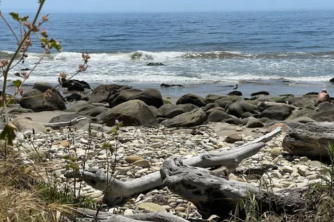 El Capitan State Beach