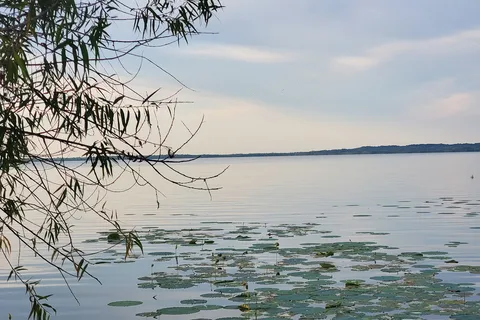 Millwood State Park