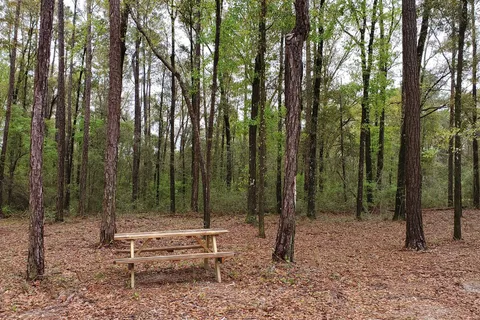 Black Creek RV Park
