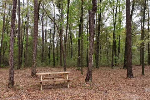 Black Creek RV Park
