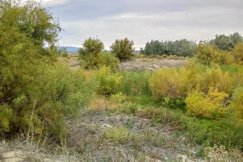 Dakota Hot Springs