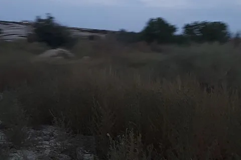 Dakota Hot Springs