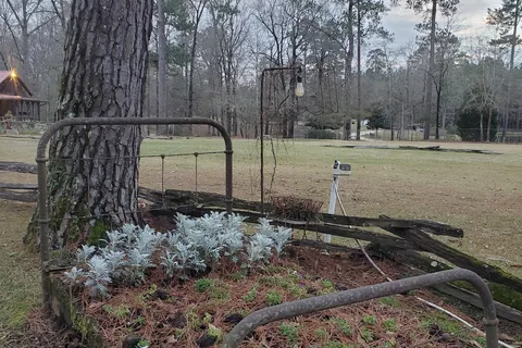 Lake Pines Campground and RV Park