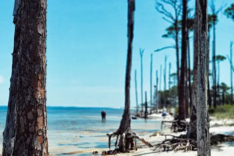 St George Island State Park