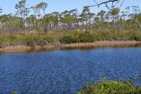 St George Island State Park