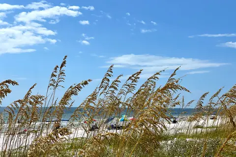 St George Island State Park