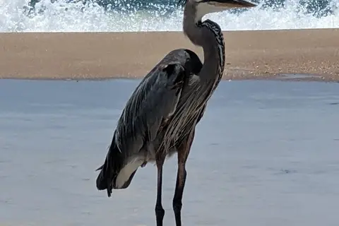 St George Island State Park