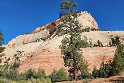 Parc national de Zion